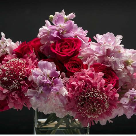 Buy Best Quality Scabiosa Tall Double Mix seeds Online - Organicbazar