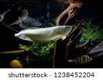 Image result for Files Topic in Oops Java