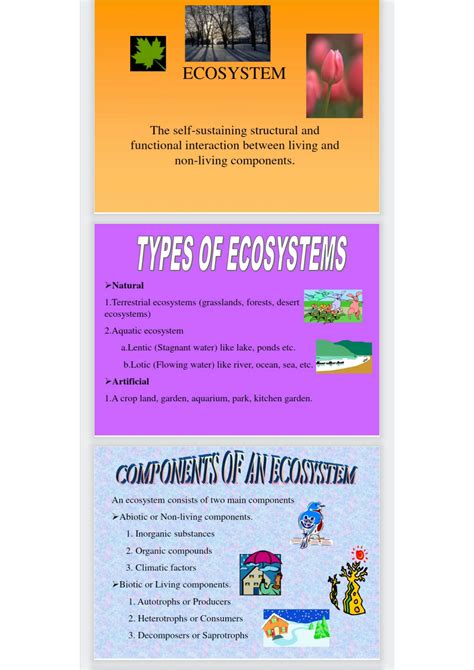 SOLUTION: Bsc zoology ecosystem notes - Studypool
