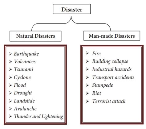 Types of Disaster Management 的图像结果