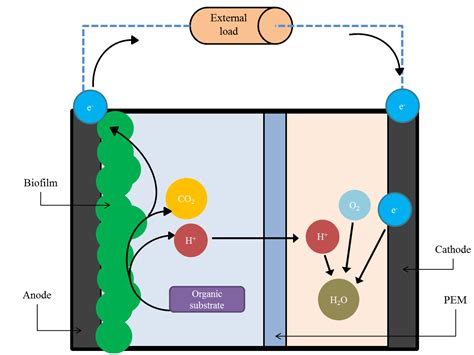 Water Quality Monitoring in Developing Countries; Can Microbial Fuel ...