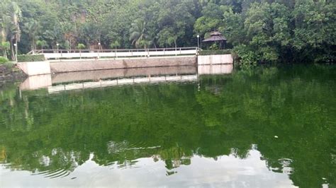 Taman Bukit Aup Jubilee Park (Sibu) - 2020 What to Know Before You Go ...