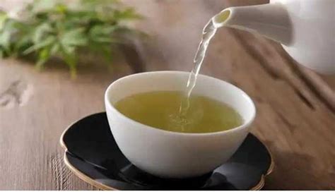 Green tea tips and excess consumption side effects, how it effect on ...