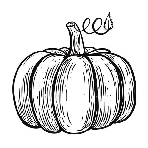 Pumpkin Outline Clip Art
