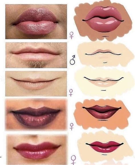 Lip Tutorials 的图像结果