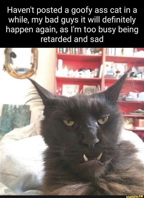 Little Bitch Report Form Fuching Miserable Name Date of butthurt ...