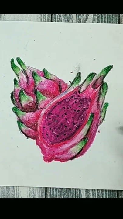Image result for Tutorial User App