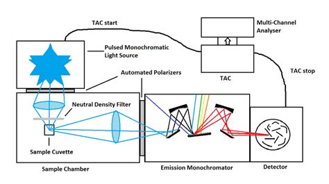 TCSPC Spectroscopy 的图像结果