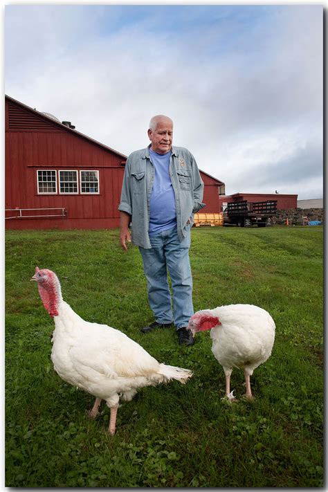 Raymond's Turkey Farm Methuen MA - Harkins Photography