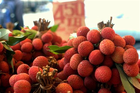 Toxins in Unripe Litchis Caused Children's Death, New Report from West ...
