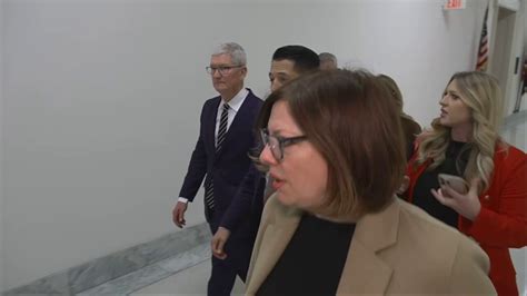 Tim Cook Collaborative Learning 的图像结果