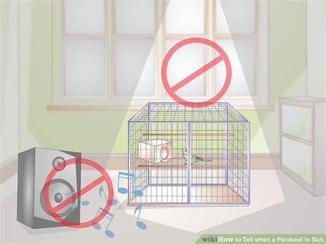 Sick Parakeet 的图像结果