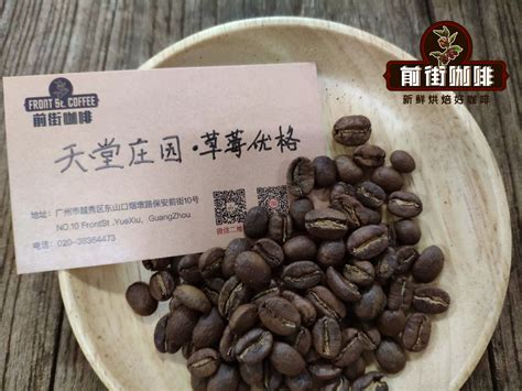 咖啡豆品种有哪些种类 各产区咖啡豆风味区别 曼特宁与蓝山咖啡豆口感风味特点的对比 中国咖啡网 07月16日更新