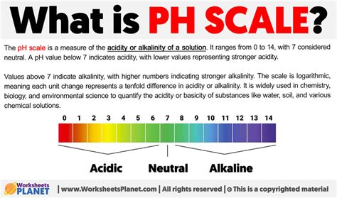 PH Scale Explained 的图像结果
