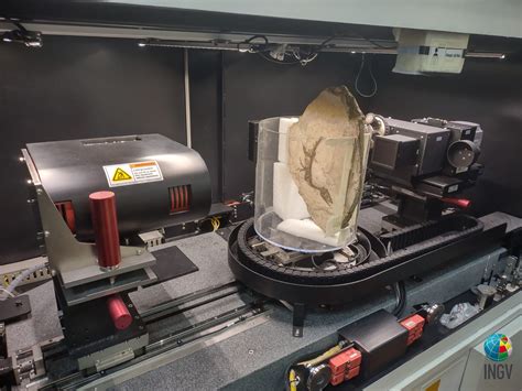 Scipionyx samniticus, nuove indagini in corso sul fossile di 'Ciro ...