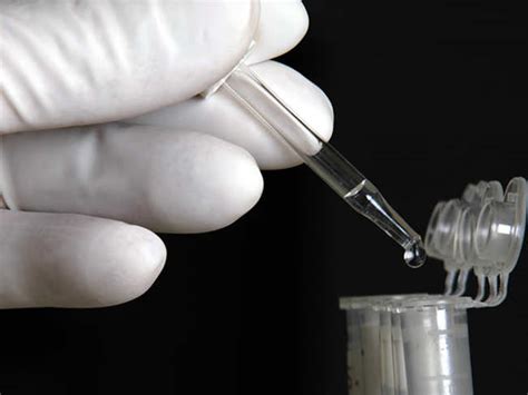 swab collection: Covid-19: Saliva diagnosis emerges as a cheaper ...