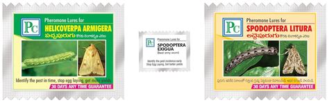 Replacement Lures for Combo Pack of Green Leafy Vegetables - 24 Pack 24 ...