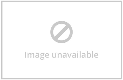 Optims Software 的图像结果