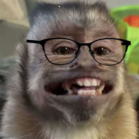 Monkey Looking at Tiger Meme