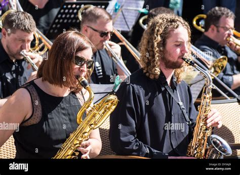 Image result for Classical String Instruments