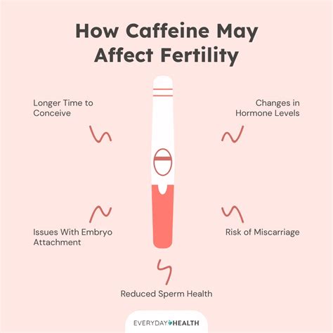 How Does Caffeine Affect Conception: What The Science Says