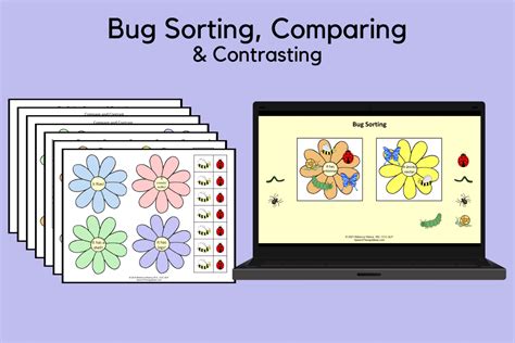 Image result for Bug Sorting