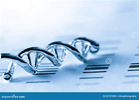 DNA Lab Test 的图像结果