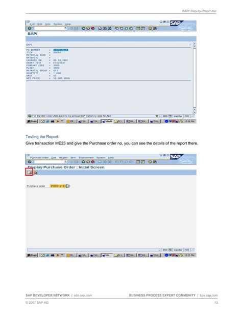Bapi Tutorial 的图像结果