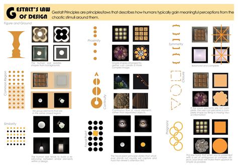 Antler's Posit | CEPT - Portfolio