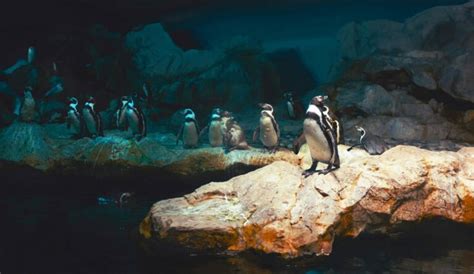 7 Major Key Components That Make Up A Linux System - Tech Hyme