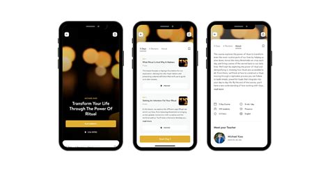 Insight Timer Support 的图像结果