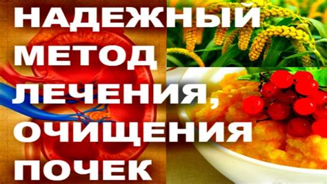 РАСТИТЕЛЬНЫЙ АНТИБИОТИК УНИЧТОЖАЕТ ВСЕ ИНФЕКЦИИ ПОЧЕК , МОЧЕВОГО ПУЗЫРЯ ...