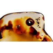 Buy Genuine Amber Fossil Specimen - Multiple Insect Inclusions ...