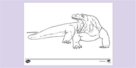 Komodo Dragon Drawing Activity | Komodo Dragon Colouring In