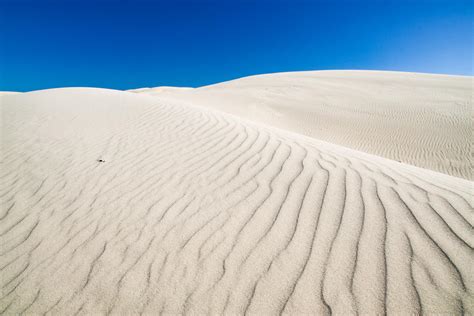Exploring The Incredible Sand Dunes Of Pismo Beach, California