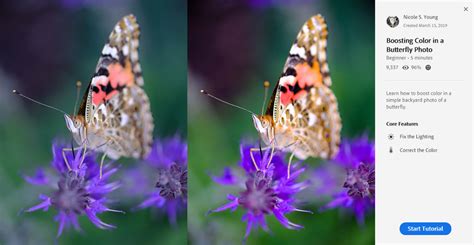 Image result for Get Started Tutorial for App