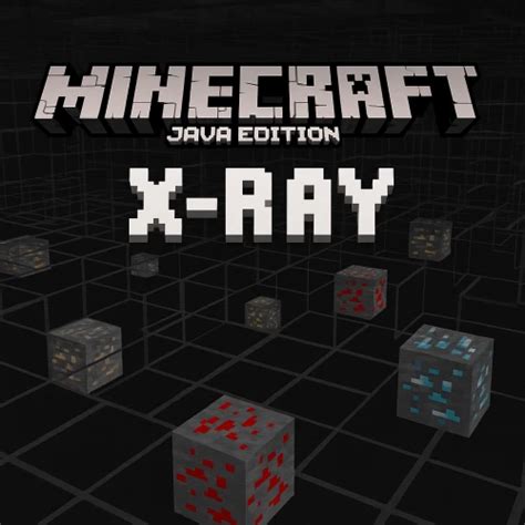 Image result for X-ray Hack for Minecraft Java Edition