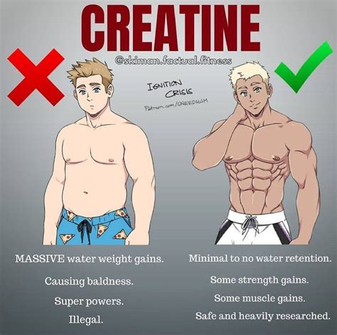 Pin by Cameron Ferguson on Swole | Workout routine for men, Full body workout, Best bodybuilding ...