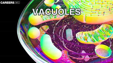 Vacuoles