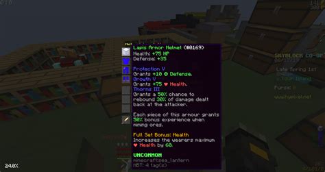 Image result for Hypixel Skyblock Guide