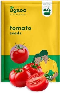 UGAOO Cherry Tomato Vegetable Seeds (Red, Pack of 200mg, 50 Seeds) Seed ...