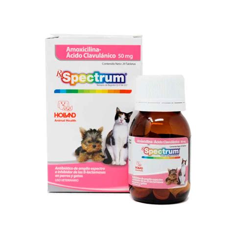 Puedo Tomar Amoxicilina Para Mis Perros
