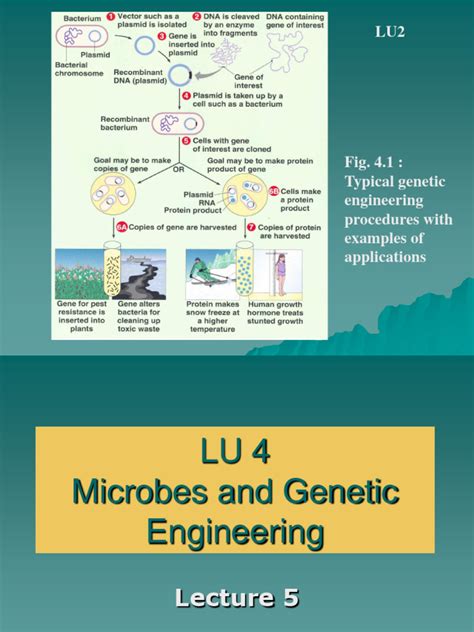 Image result for Genetic Engineering Lecture