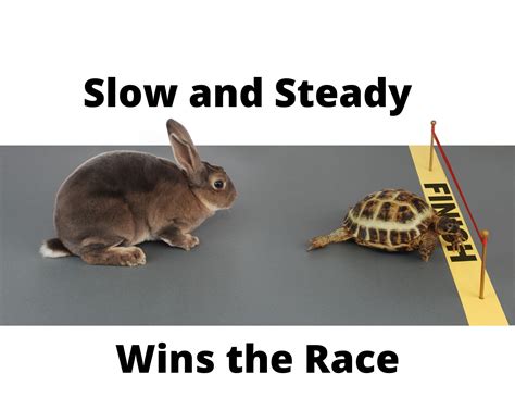 Slow and Steady Wins the Race - BusinessWritingBlog
