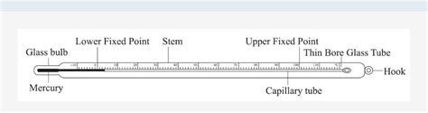 drawing of laboratory thermometer with labelling also - Brainly.in