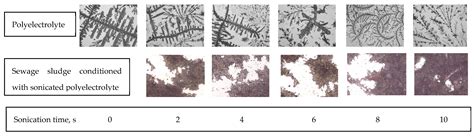 Ultrasounds Energy as an Agent of Polyelectrolyte Modification Prior to ...