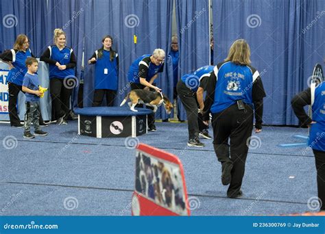 Novi Pet Expo in Novi, Michigan on 12-04-2021 at the Suburban ...