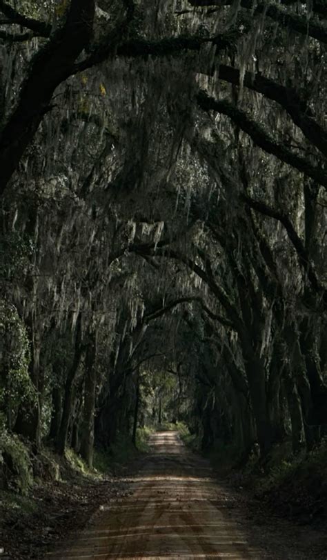 Southern Gothic Aesthetic