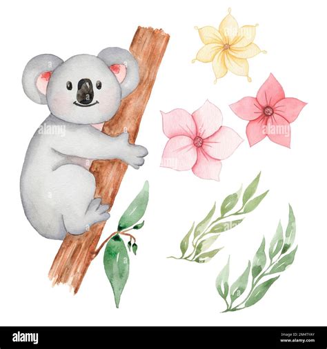 Koala Bear Clip Art