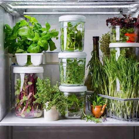 How To Keep Fresh Italian Herbs Stored On The Counter